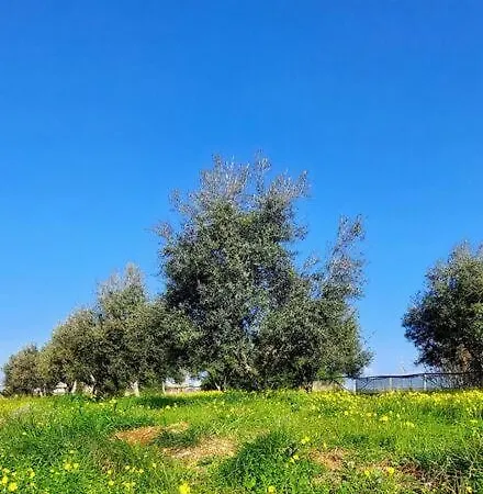 Fairytale * Agios Ioannis (Heraklion)